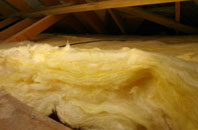 Titchfield Park pitch roof insulation